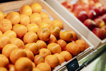 Frische Bio-Mandarinen am Marktstand - IFRF01899