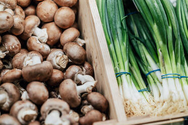 Portobello-Pilze und Frühlingszwiebeln am Marktstand - IFRF01900