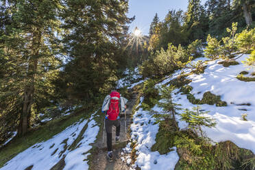 Deutschland, Bayern, Wanderin auf Wanderweg in den Bayerischen Voralpen - FOF13205