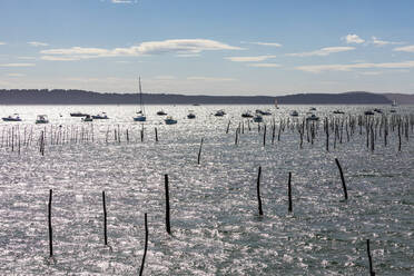 Frankreich, Nouvelle-Aquitaine, Lege-Cap-Ferret, Küstenpfähle in der Bucht von Arcachon mit schwimmenden Booten im Hintergrund - WDF07142