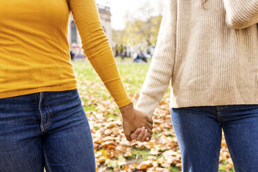 Frauen halten sich im Park an den Händen - WPEF06796