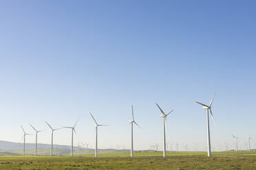Wind turbines on field under clear sky - LJF02321