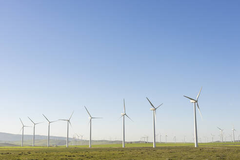 Windkraftanlagen auf einem Feld bei klarem Himmel - LJF02321