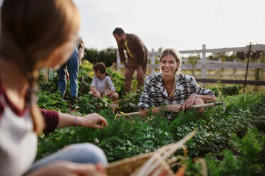 Happy young and old farmers or gardeners working outdoors at a community farm. - HPIF00878