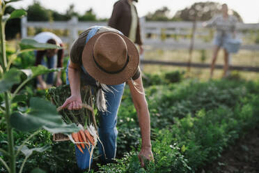 Fröhliche junge und alte Landwirte oder Gärtner bei der Arbeit im Freien auf einem Gemeinschaftshof. - HPIF00879