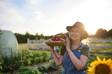 Eine ältere Bäuerin trägt einen Korb mit selbst angebautem Gemüse im Freien auf einer Gemeinschaftsfarm. - HPIF00885