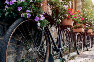 Fahrräder mit Blumenkörben auf nassem Pflaster in der Nähe einer Steinmauer mit üppigen Büschen an einem regnerischen Tag auf einer Stadtstraße abgestellt - ADSF40381