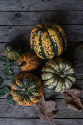 Assorted rustic pumpkins on dark wooden table - ADSF40787