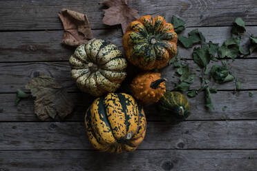 Assorted rustic pumpkins on dark wooden table - ADSF40788