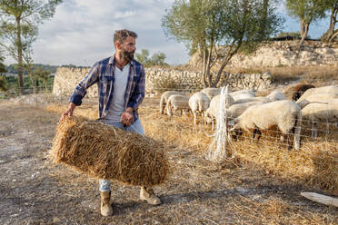 Full body of young bearded ethnic male farmer with dark hair in casual clothes carrying hay bale while working in countryside on sunny day - ADSF41183