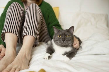 Crop anonyme barfuß Frau in gestreiften Hosen liegen auf weichen Bett mit Decke und streichelt liebenswert grau flauschige Katze - ADSF41345