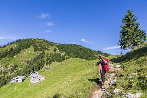 Deutschland, Bayern, Wanderin auf dem Weg zum Gipfel des Hirschbergs - FOF13210