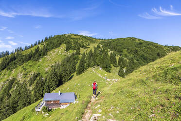 Deutschland, Bayern, Wanderin auf dem Weg zum Gipfel des Hirschbergs - FOF13212