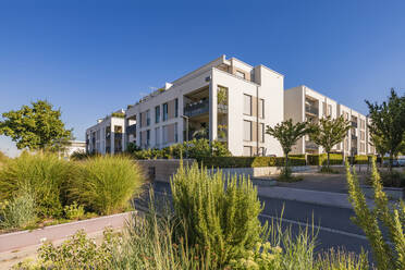 Germany, Baden-Wurttemberg, Heidelberg, Modern suburban houses in Bahnstadt district - WDF07147