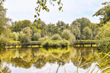 See neben einigen Bäumen und einer Brücke - ADSF41457