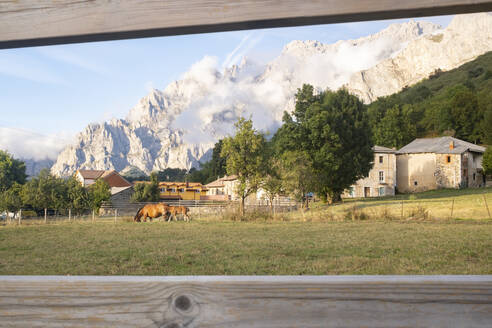 Spain, Castile and Leon, Posada de Valdeon, Horses grazing in alpine paddock - MMPF00526