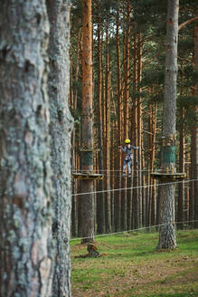 Kind, das auf einer Plattform auf einem Nadelbaum steht, während es einen Hindernisparcours in einem Abenteuerpark in einem sonnenbeschienenen Waldgebiet erkundet - ADSF41475