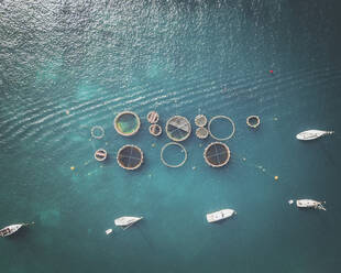 Luftaufnahme einer Fischzucht in Port Andratx, Mallorca, Isla Baleares, Spanien. - AAEF16865