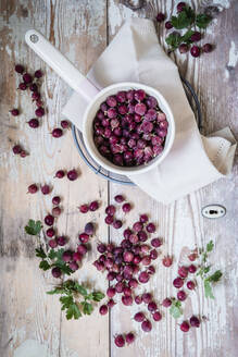 Studioaufnahme einer Schale mit frischen Stachelbeeren - EVGF04163