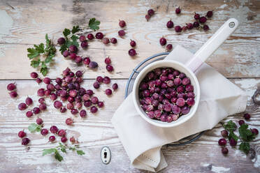 Studioaufnahme einer Schale mit frischen Stachelbeeren - EVGF04167