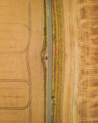 Luftaufnahme von oben auf ein rotes Auto und eine Straße in der Nähe von Swindon, England, Vereinigtes Königreich. - AAEF16930
