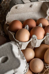From above closeup of fresh raw chicken eggs placed in rows in carton container near hay in coop - ADSF41500