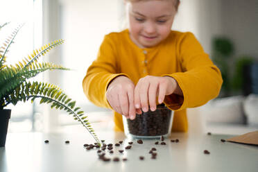 Ein kleines Mädchen mit Down-Syndrom sitzt zu Hause am Tisch mit einer Schale voller Kaffeebohnen. - HPIF01063