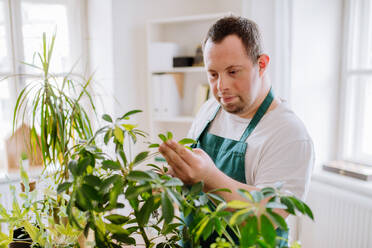 Junger Mann mit Down-Syndrom, der sich um Pflanzen kümmert und als Verkäufer in einem Blumenladen arbeitet. - HPIF01206