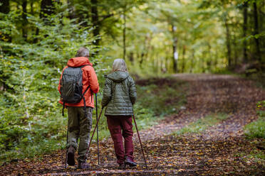 Rear view of senior couple hiking in autumn nature. - HPIF01313