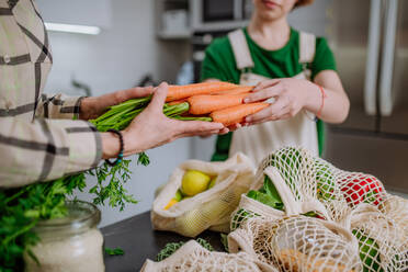 A mother unpacking local food in zero waste packaging from bag with help of daughter in kitchen at home. - HPIF01707