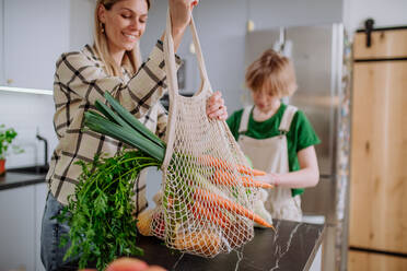 A mother bringing shopping in mesh bag to kitchen. Zero waste and sustainable packaging concept. - HPIF01713