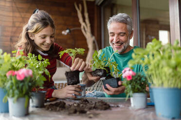 Eine Tochter im Teenageralter hilft ihrem Vater, Blumen zu pflanzen, Konzept der Gartenarbeit zu Hause - HPIF02049
