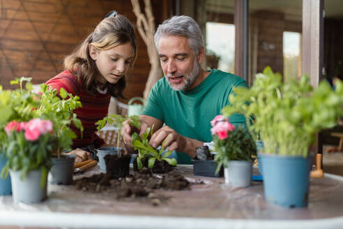 Eine Tochter im Teenageralter hilft ihrem Vater, Blumen zu pflanzen, Konzept der Gartenarbeit zu Hause - HPIF02050