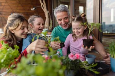 Drei Töchter helfen einem Vater, Blumen zu pflanzen, Konzept der Gartenarbeit zu Hause - HPIF02053