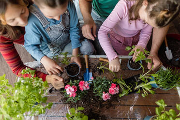 Eine Draufsicht auf drei Töchter, die ihrem Vater beim Pflanzen von Blumen helfen, Hausgartenkonzept. - HPIF02054