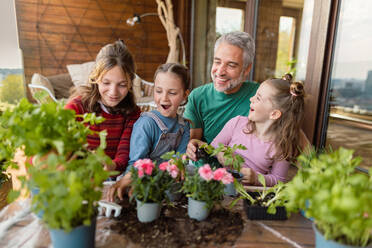 Drei Töchter helfen einem Vater, Blumen zu pflanzen, Konzept der Gartenarbeit zu Hause - HPIF02055