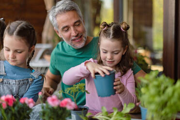 Kleine Töchter helfen einem Vater, Blumen zu pflanzen, Konzept der Gartenarbeit zu Hause - HPIF02057