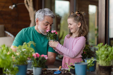 Eine kleine Tochter hilft ihrem Vater, Blumen zu pflanzen, Konzept der Gartenarbeit zu Hause - HPIF02058