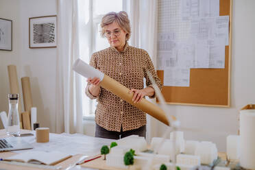 Eine reife Architektin, die im Büro aufgerollte Baupläne aus einem Rohr zieht. - HPIF02578