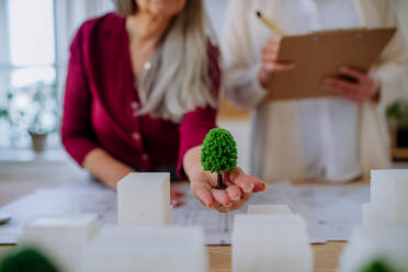 A close-up of senior women eco architects with model of modern bulidings and blueprints working together in office. - HPIF02591