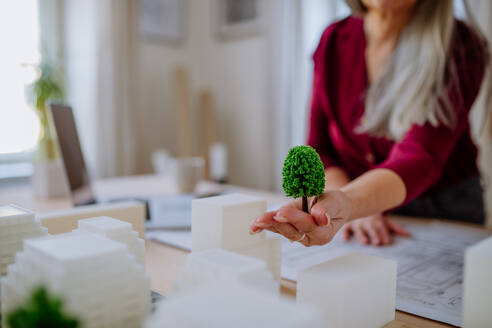 Eine Nahaufnahme von leitenden Öko-Architektinnen mit Modellen moderner Gebäude und Plänen, die im Büro zusammenarbeiten. - HPIF02592