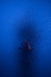 Die Schattenhand eines Menschen hinter dem Glas. - HPIF02730