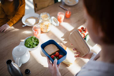 Nahaufnahme einer Mutter, die in der Küche zu Hause einen Snack für die Brotdose vorbereitet. - HPIF03015