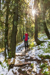 Deutschland, Bayern, Wanderin auf Waldweg auf dem Weg zum Karkopf - FOF13231