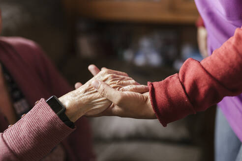 Pflegekraft hält die Hand einer älteren Frau zu Hause - LJF02331