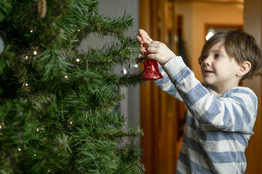 Boy decorating Christmas tree at home - ANAF00592