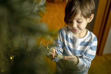 Boy standing by Christmas tree at home - ANAF00594