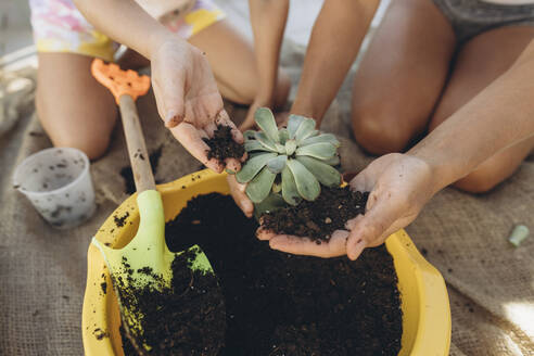 Mother and daughter planting together - SIF00612