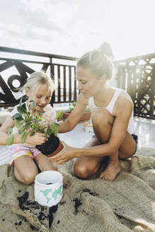 Mother and daughter planting on roof terrace together - SIF00613