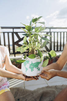 Mother and daughter holding potted plant on roof terrace - SIF00615